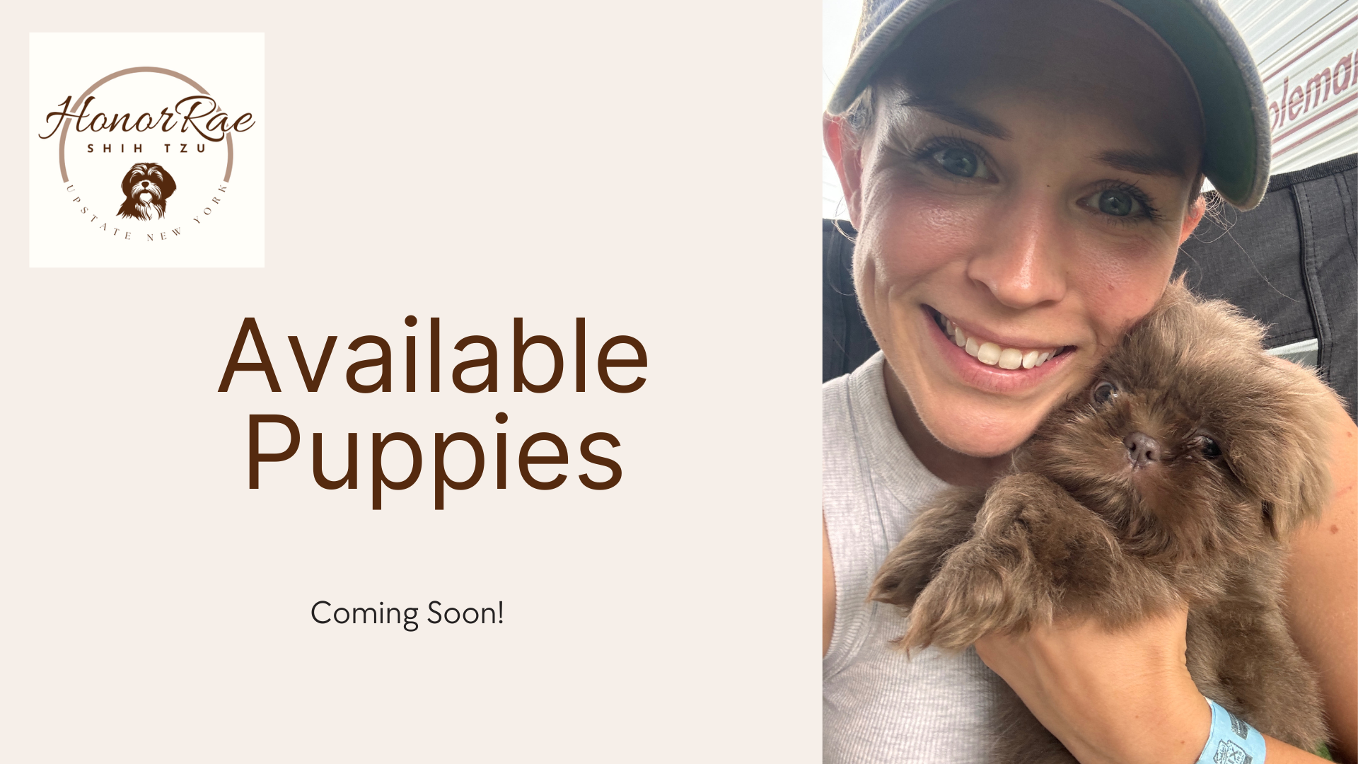 https://honorraeshihtzu.com/puppies/
